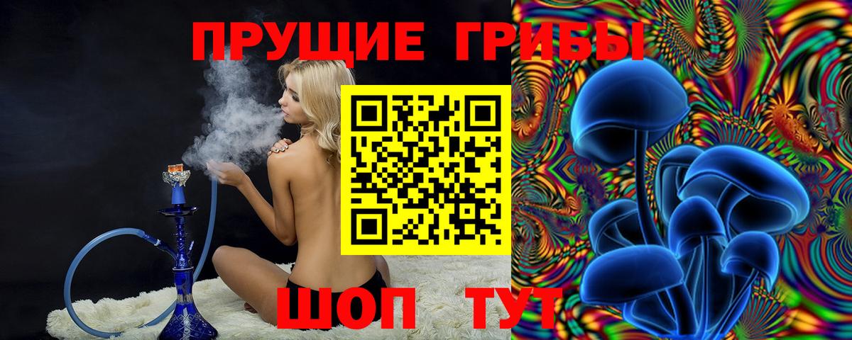 Благодарный  Псилоцибиновые грибы MAGIC MUSHROOMS  Вход с VPN 